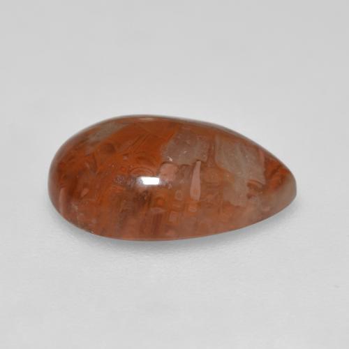 Coral Multicolor natural de 3.56 ct, En forma de pera, Translúcido