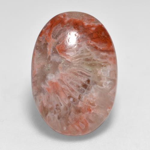 Coral multicolor natural de 7,40 ct, corte óvalo, translúcido
