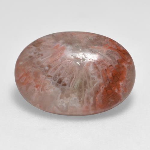 Coral multicolor natural de 7,40 ct, corte óvalo, translúcido