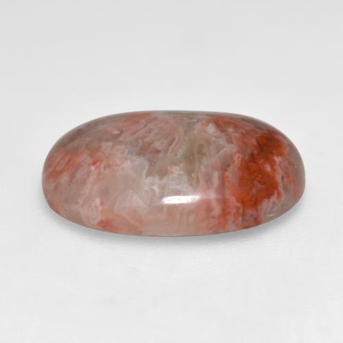 Coral multicolor natural de 7,40 ct, corte óvalo, translúcido