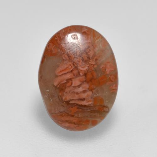 Coral Multicolor natural de 2.52 ct, Corte Óvalo, Translúcido