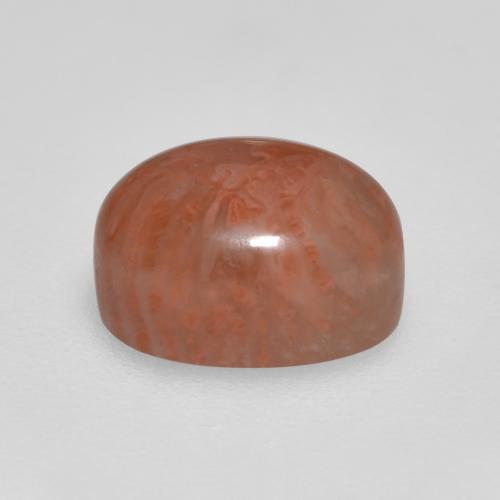 Coral multicolor natural de 2,11 ct, corte óvalo, translúcido