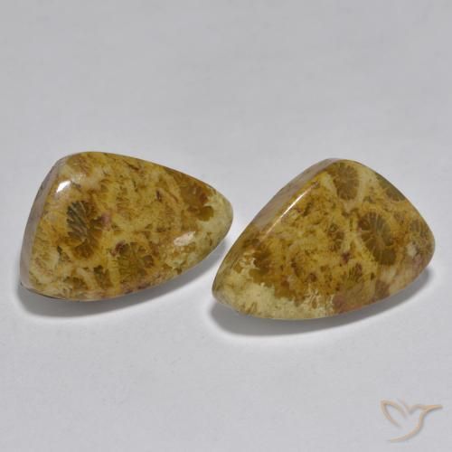 Gemas de Coral Multicolor natural de 16.29 ct, Elegante, Opaco