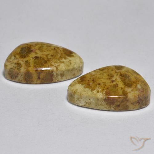 Gemas de Coral Multicolor natural de 16.29 ct, Elegante, Opaco