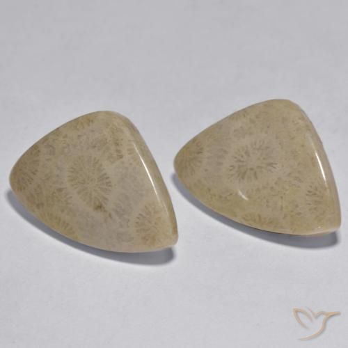 Gemas de Coral Multicolor natural de 17.33 ct, Elegante, Opaco