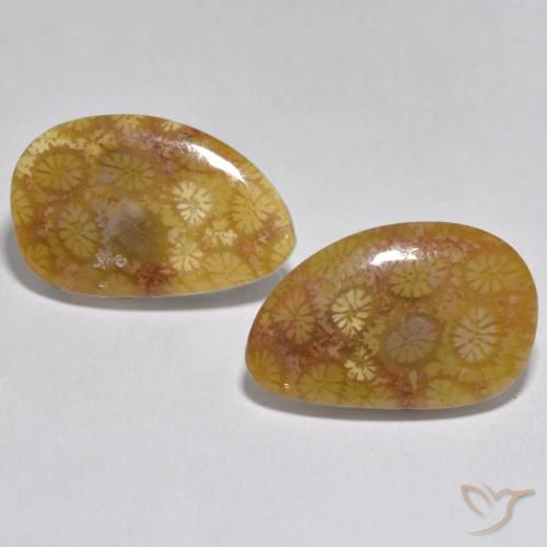 16.46ctw Natural Multicolor Coral, Elegante, Opaco