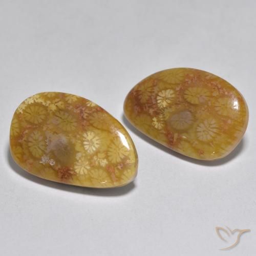 Gemas de Coral Multicolor natural de 16.46 ct, Elegante, Opaco