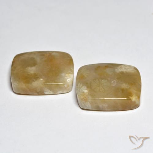 Gemas de Coral Multicolor natural de 31.45 ct, Forma Cojín, Opaco