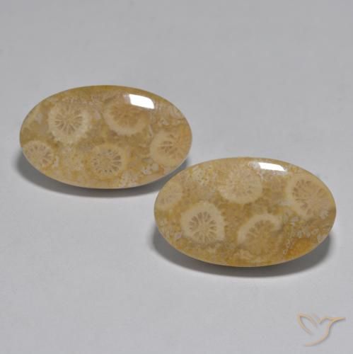 27.96ctw Natural Multicolor Coral, Ovalada, Opaco