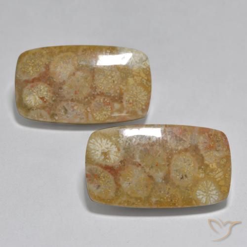 31.51ctw Natural Multicolor Coral, Forma Cojín, Opaco