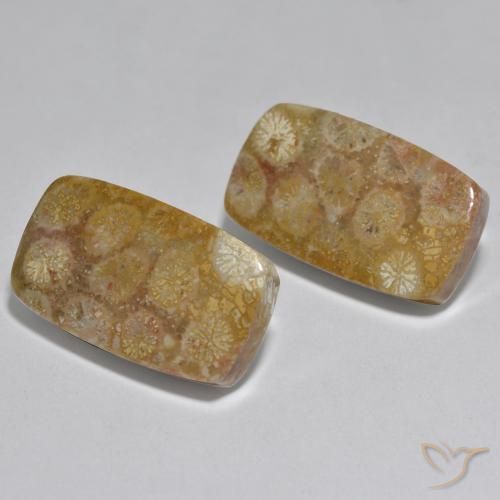 Gemas de Coral Multicolor natural de 31.51 ct, Forma Cojín, Opaco