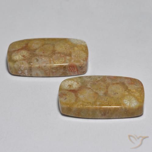 Gemas de Coral Multicolor natural de 31.51 ct, Forma Cojín, Opaco