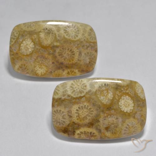 24.97ctw Natural Multicolor Coral, Forma Cojín, Opaco