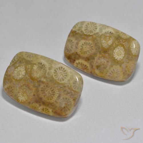 Gemas de Coral Multicolor natural de 24.97 ct, Forma Cojín, Opaco