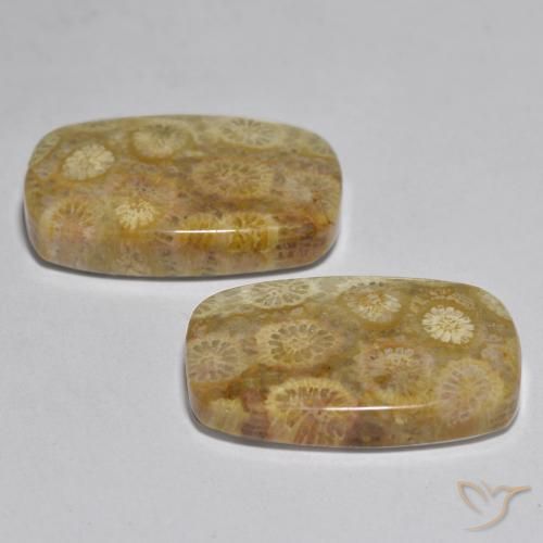 Gemas de Coral Multicolor natural de 24.97 ct, Forma Cojín, Opaco