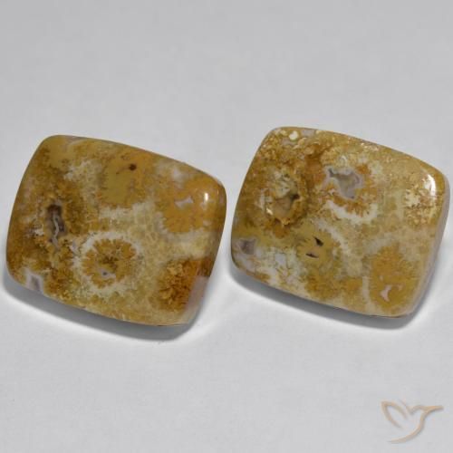 Gemas de Coral Multicolor natural de 30.85 ct, Forma Cojín, Opaco