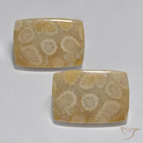32.71ctw Natural Multicolor Coral, Forma Cojín, Opaco
