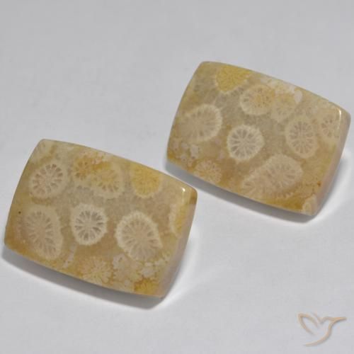 Gemas de Coral Multicolor natural de 32.71 ct, Forma Cojín, Opaco