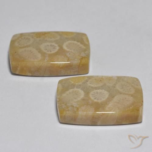 Gemas de Coral Multicolor natural de 32.71 ct, Forma Cojín, Opaco