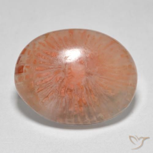 7.86ct Natural Multicolor Coral, Ovalada, Translúcido