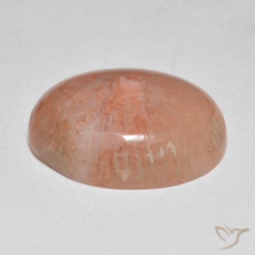 Coral Multicolor natural de 7.86 ct, Ovalada, Translúcido