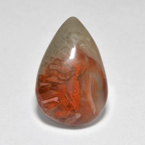 Coral multicolor natural de 4,44 ct, en forma de pera, translúcido