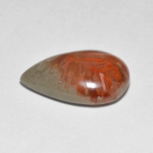 Coral multicolor natural de 4,44 ct, en forma de pera, translúcido