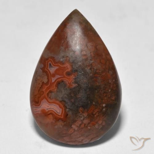9.18ct Natural Multicolor Coral, En forma de pera, Translúcido
