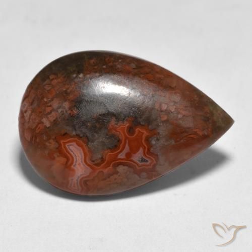 Coral Multicolor natural de 9.18 ct, En forma de pera, Translúcido