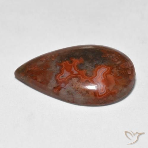 Coral Multicolor natural de 9.18 ct, En forma de pera, Translúcido