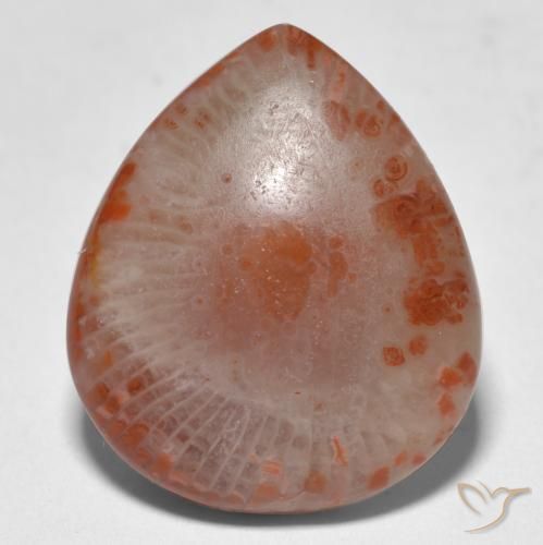 Coral multicolor natural de 11,24 ct, en forma de pera, translúcido