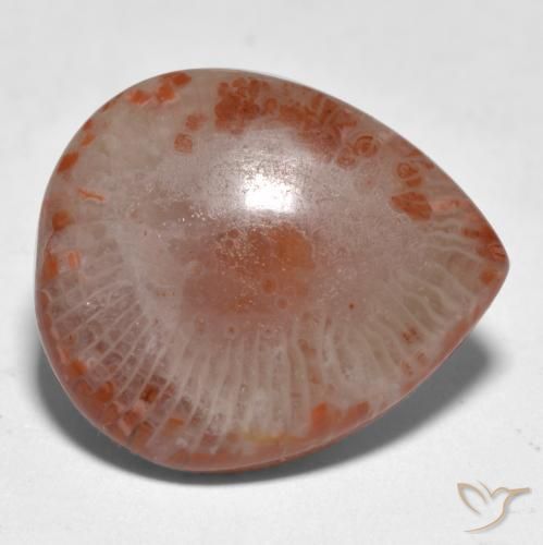 Coral multicolor natural de 11,24 ct, en forma de pera, translúcido