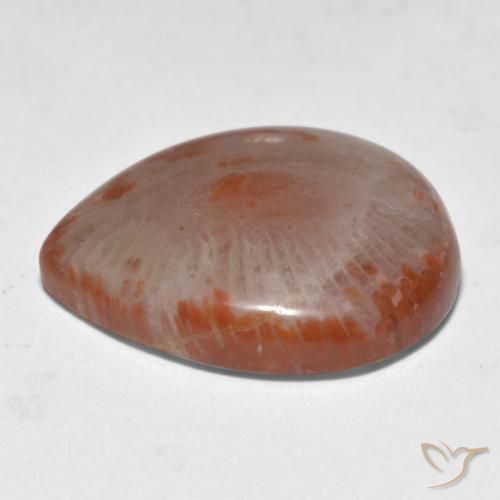 Coral multicolor natural de 11,24 ct, en forma de pera, translúcido
