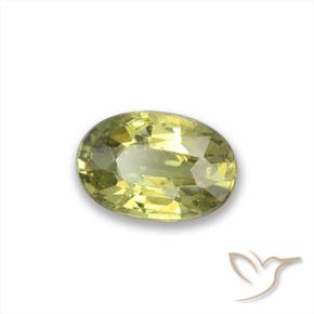 Granate demantoide Verde bosque cálido natural de 0.47 ct, Ovalada, VVS-VS