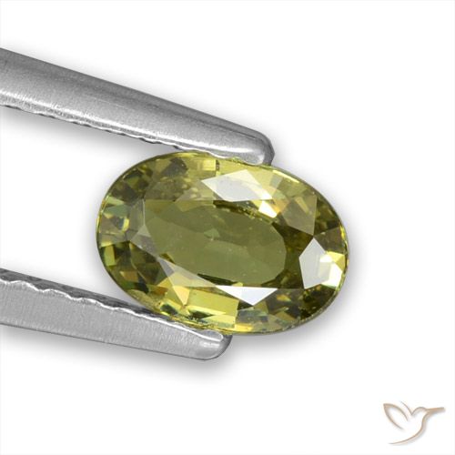 0.57ct Natural Verde bosque cálido Granate demantoide, Ovalada, VVS-VS
