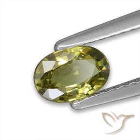Granate demantoide Verde bosque cálido natural de 0.57 ct, Ovalada, VVS-VS