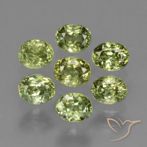 Gemas de Granate demantoide Verde bosque natural de 1.61 ct, Ovalada, VS