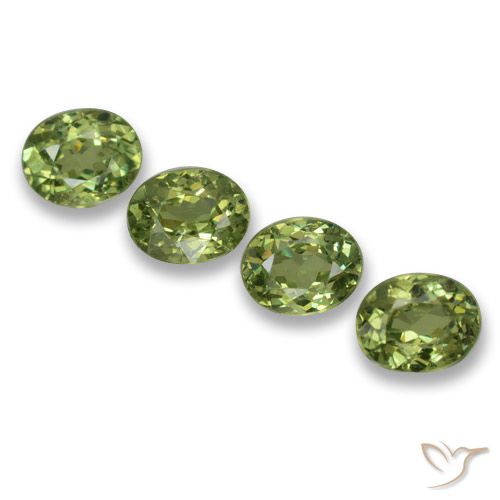 1.27ctw Natural Verde bosque Granate demantoide, Ovalada, VS