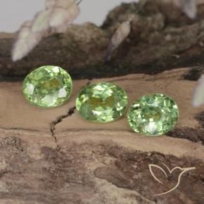 Gemas de Granate demantoide Verde bosque natural de 1.14 ct, Ovalada, VVS-VS