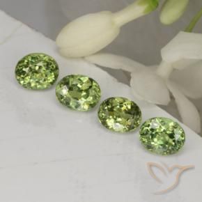 Gemas de Granate demantoide Verde bosque natural de 1.67 ct, Ovalada, VVS-VS