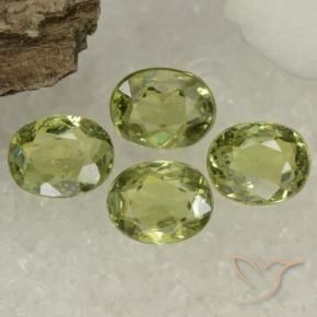 Gemas de Granate demantoide Verde Oliva natural de 1.47 ct, Ovalada, VS