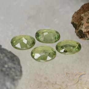 Gemas de Granate demantoide Verde cálido natural de 1.54 ct, Ovalada, VS