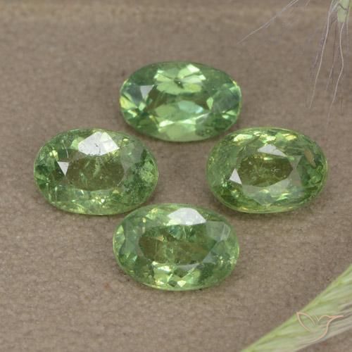 Gemas de Granate demantoide Verde bosque natural de 2.56 ct, Ovalada, VS-SI