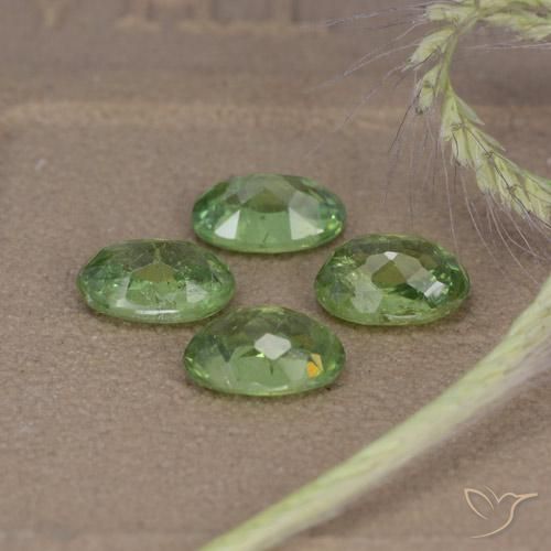 Gemas de Granate demantoide Verde bosque natural de 2.56 ct, Ovalada, VS-SI