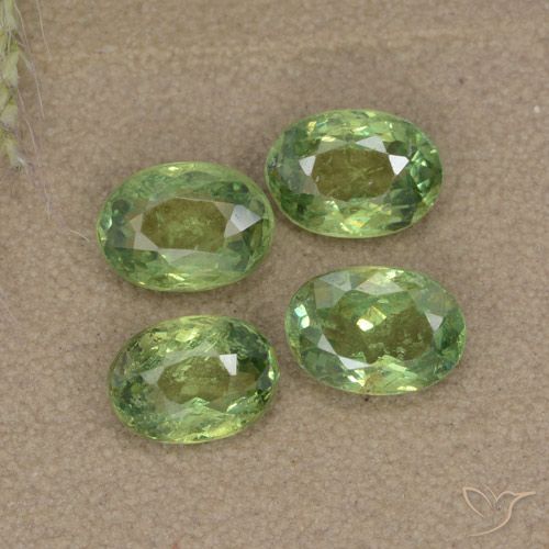 2.27ctw Natural Verde bosque Granate demantoide, Ovalada, VS