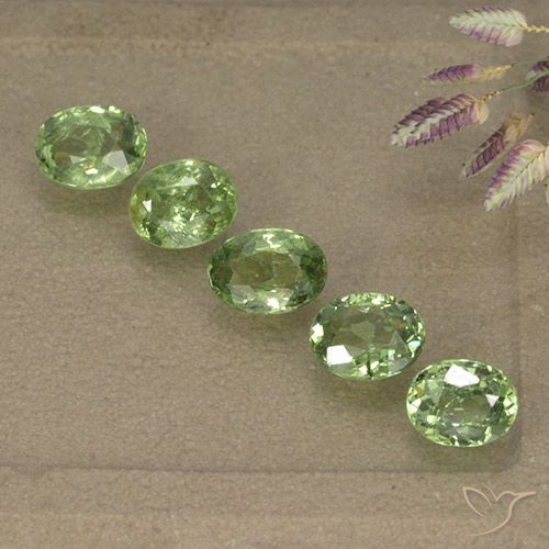 2.49ctw Natural Verde bosque Granate demantoide, Ovalada, VS-SI