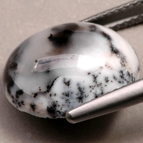 Ágata Dendrítica Multicolor natural de 6.92 ct, Corte Óvalo, Opaco