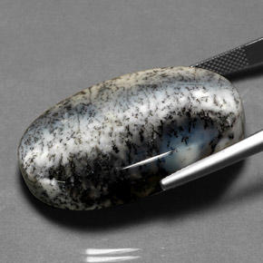 Ágata Dendrítica Multicolor natural de 41.48 ct, Corte Óvalo, Opaco