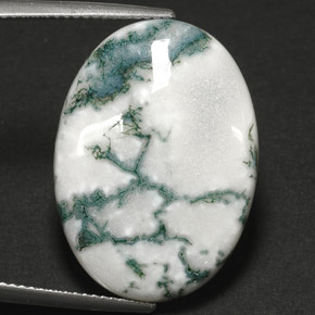 Ágata dendrítica multicolor natural de 17,64 ct, corte óvalo, opaco