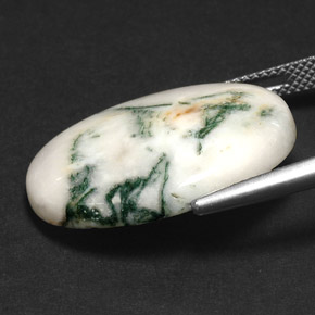 Ágata Dendrítica Multicolor natural de 17.43 ct, Corte Óvalo, Opaco